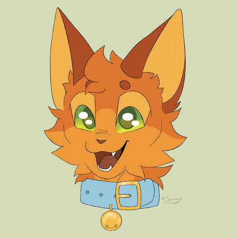 $15 CAD - flat colour headshot